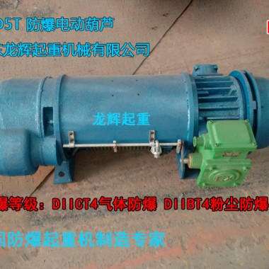 늄(dng)J electric explosion proof hoist